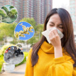 Top 5 Most Common Allergens in Metro Manila and How to Manage Them