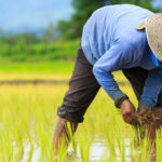 Everyday Heroes: The Farmers Keeping Our Communities Fed