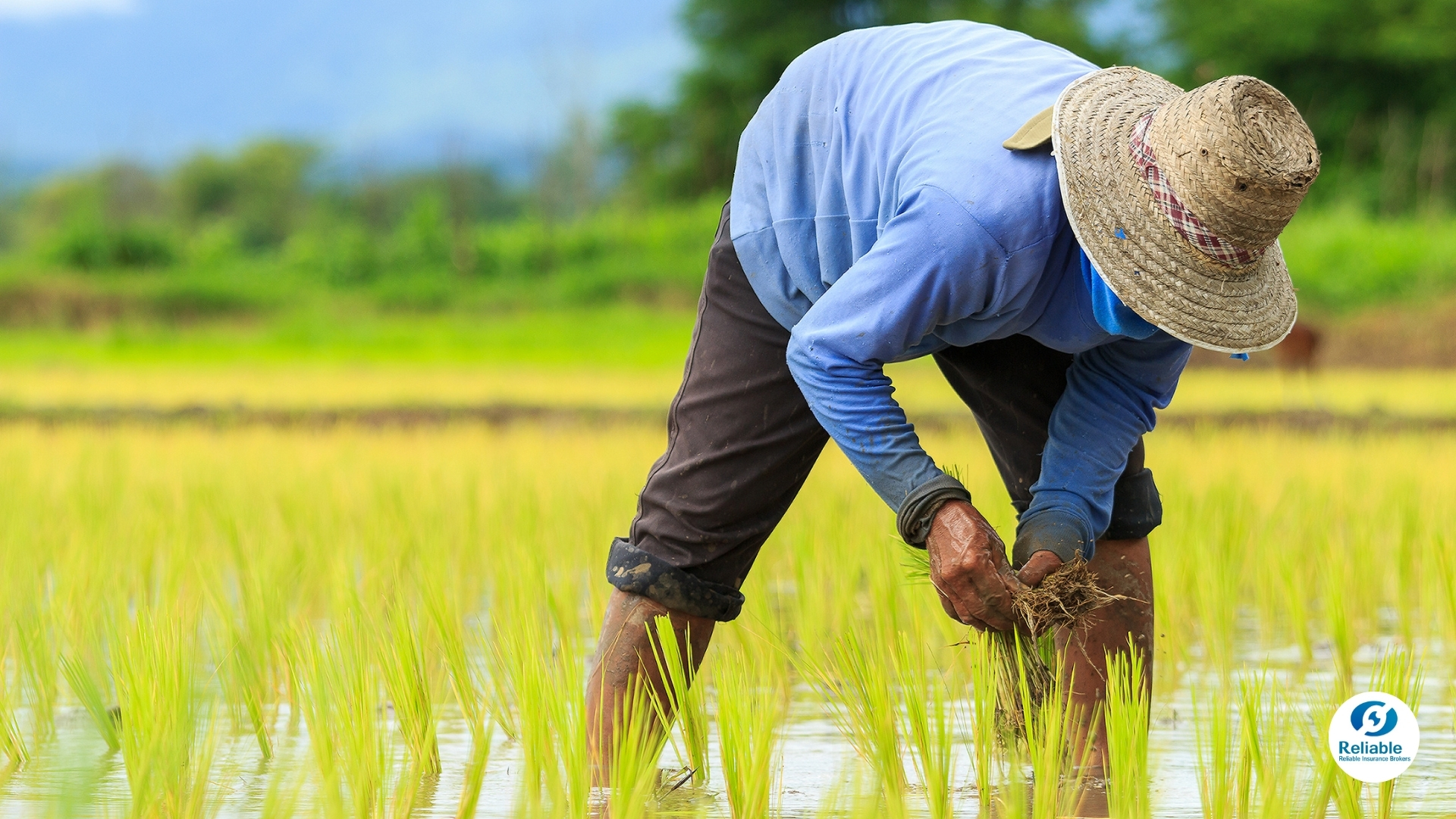 Everyday Heroes: The Farmers Keeping Our Communities Fed