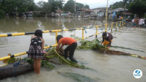 Family Emergency Plan for Natural Disasters