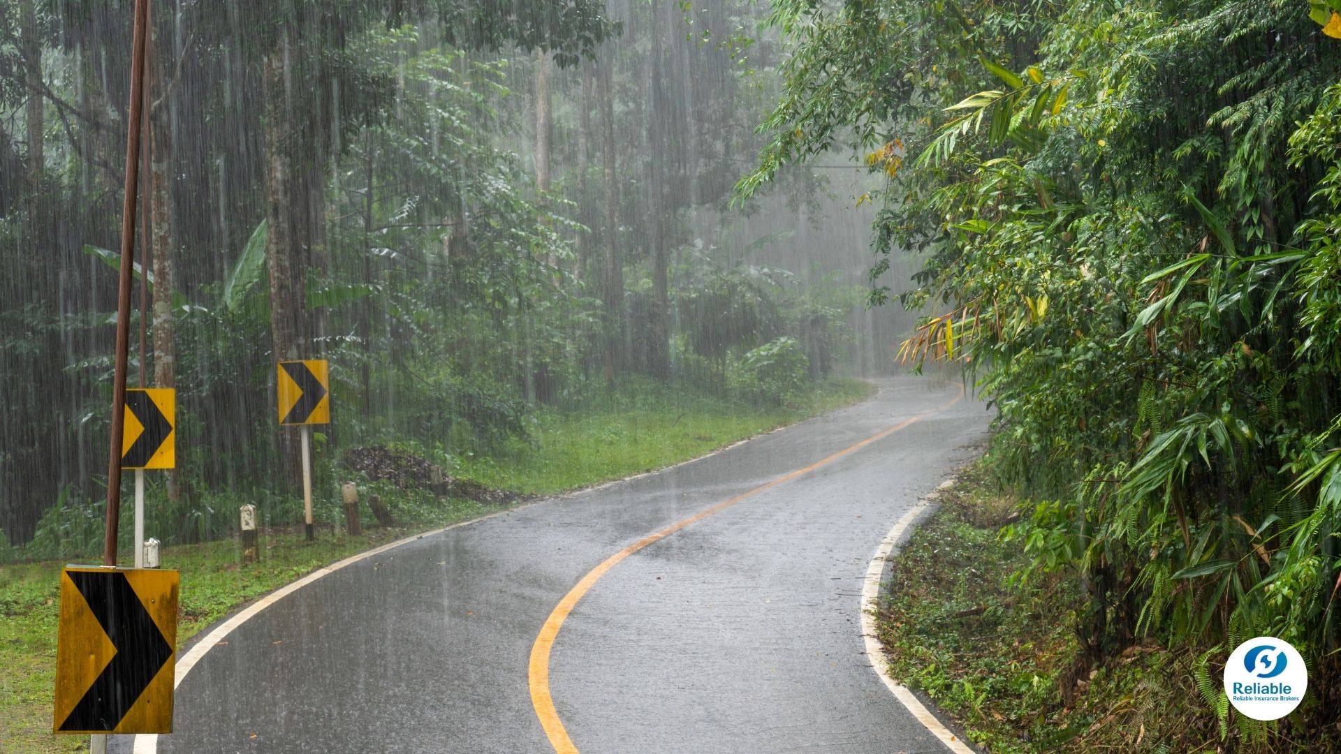 2025-1111-driving-typhoon-01