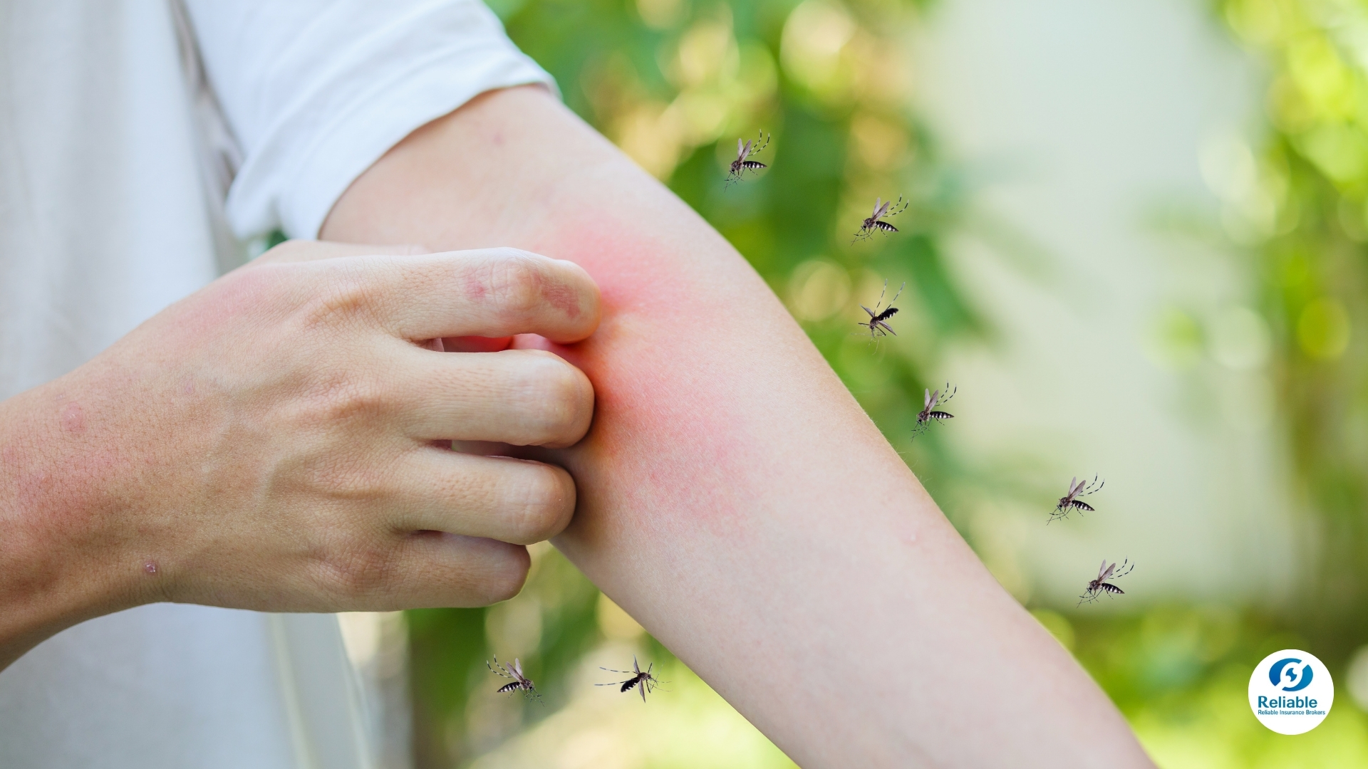 2025-1114-malaria-01