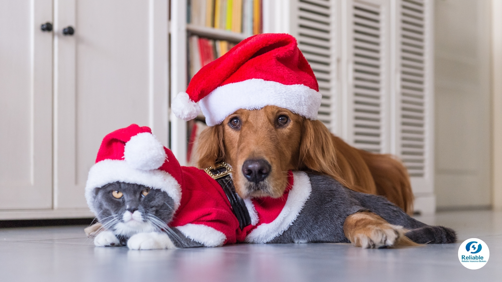 2025-1227-pet-safe-christmas-01